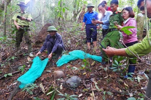 Thả 4 cá thể động vật quý hiếm vào rừng tự nhiên