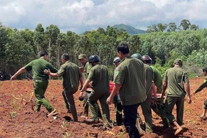 Cứu sống người đàn ông rơi xuống giếng hoang sâu 15 mét