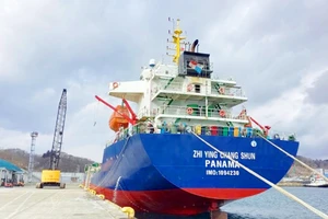 Bắt giữ tàu hàng quốc tịch Panama cập cảng Quy Nhơn