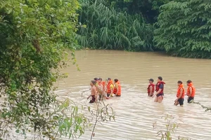 Đi chăn bò, người đàn ông bơi qua sông bị chết đuối