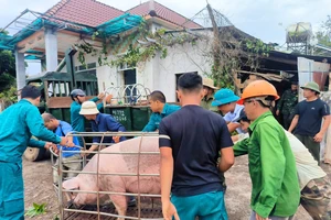 Cán bộ giúp dân di dời nhà khỏi vùng sạt lở đường vào thủy điện Ia Ly 