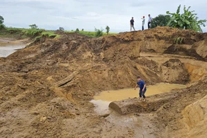 Làm rõ hành vi hủy hoại bờ sông ở Gia Lai để khai thác gỗ lạ 
