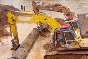 Vụ phá nát bờ sông để đào cây gỗ lạ: Chưa tìm ra chủ mưu, máy xúc 'bốc hơi'