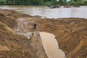 Giao công an điều tra vụ đào bới bờ sông lấy cây gỗ lạ ở Gia Lai