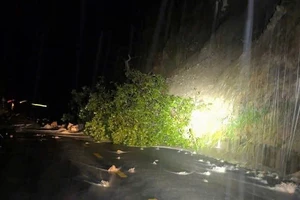 Mưa lớn gây sạt lở đèo Tô Na trên quốc lộ 25