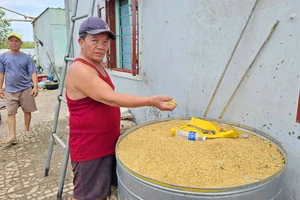 Gia tài có mỗi 1.000 con vịt đẻ cũng bị bão cuốn đi mất