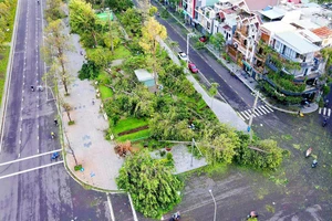 Tan hoang "lá phổi xanh" Quy Nhơn