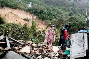 Gia Lai: Nghẹt thở giải cứu 2 cụ già bị sạt lở vùi lấp