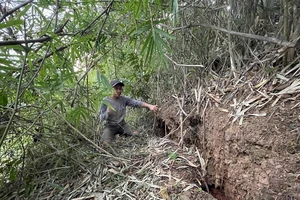 Gia Lai: Xuất hiện vết nứt lớn trên đồi khiến người dân bất an