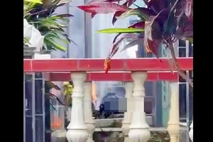 Vụ thi thể người bị cháy ở Gia Lai: Nạn nhân là nhân viên bảo vệ rừng 