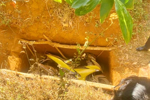 Vụ cướp ngân hàng ở Gia Lai: Tìm thấy mô tô nghi liên quan vụ cướp 