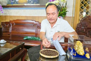 Lão nông nuôi chồn sản xuất đặc sản cà phê giá bạc triệu