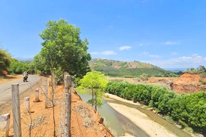 UBND xã chưa giải quyết hồ sơ đất đai vì doanh nghiệp không thực hiện cam kết