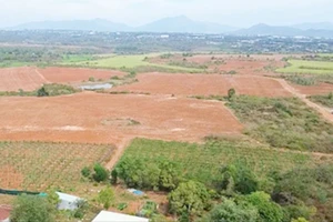 Gia Lai: 'Cò đất' ngang nhiên rao bán cả đất do Nhà nước quản lý