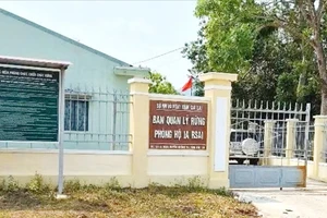 Bắt tạm giam 1 trưởng ban quản lý rừng phòng hộ ở Gia Lai