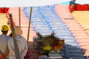 Đi câu cá, người đàn ông rơi xuống biển tử vong