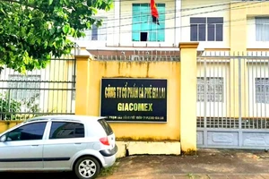 Kiến nghị chuyển hồ sơ công an điều tra sai phạm trong cổ phần hóa công ty cà phê
