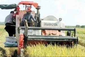 Cảnh báo tình trạng 'bảo kê' máy gặt lúa