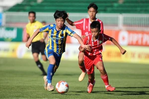 Khởi tranh giải Festival Bóng đá U14 quốc tế Gia Lai 2026