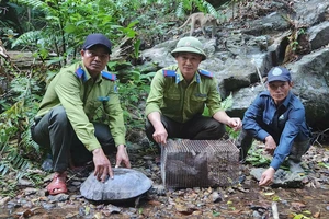 Gia Lai: Thả nhiều cá thể rùa, chim quý vào rừng Kon Ka Kinh
