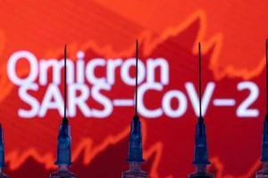 Thêm nhiều thông tin quan trọng về biến thể Omicron. Ảnh minh họa: REUTERS
