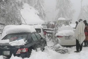 Xe du khách chết máy nối đuôi nhau vì tuyết rơi nặng ở thị trấn Murree hôm 8-1. Ảnh: REUTERS