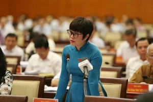 Đại biểu bức xúc vì hàng loạt công viên ở TP.HCM bị 'xà xẻo'