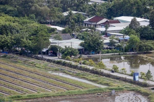 Huyện Bình Chánh được chuyển hơn 1.300ha đất nông nghiệp sang phi nông nghiệp