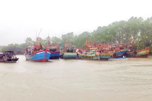 Trà Vinh không có tàu khai thác hải sản vi phạm vùng biển nước ngoài