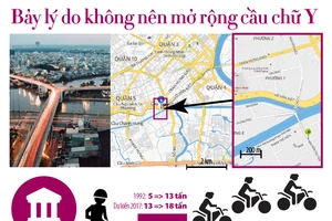 Bảy lý do không nên mở rộng cầu Chữ Y