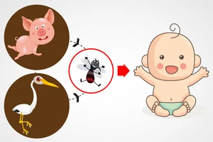 4 bước phòng dịch viêm não Nhật Bản mùa hè