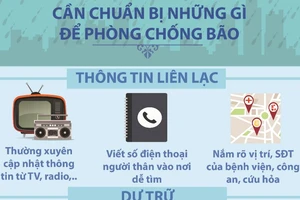 Những việc làm cần thiết để ứng phó với bão?