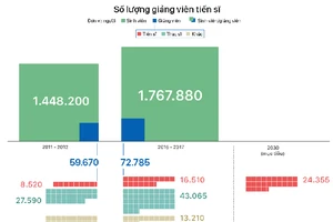 Việt Nam có bao nhiêu giảng viên trình độ tiến sĩ?