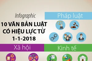 10 văn bản luật có hiệu lực từ 1-1-2018