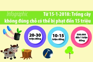 Từ 15-1: Trồng cây sai chỗ có thể bị phạt đến 15 triệu