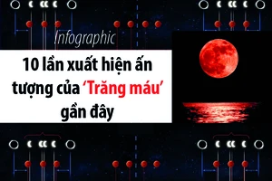 10 lần xuất hiện ấn tượng của ‘Trăng máu’ gần đây