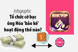 Tổ chức cờ bạc ông Hóa 'bảo kê' hoạt động thế nào?