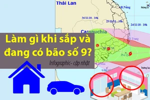 Làm gì khi bão số 9 đang hướng thẳng vào Đông Nam Bộ, TP.HCM?