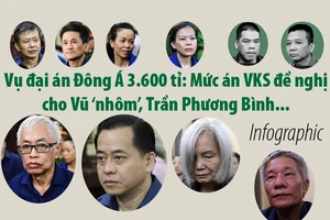 Mức án VKS đề nghị cho Vũ ‘nhôm’, Trần Phương Bình