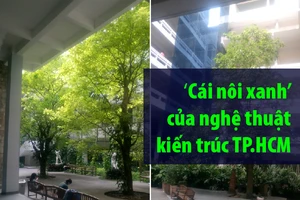 Đột kích 'cái nôi xanh' của nghệ thuật kiến trúc TP.HCM
