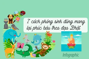 7 cách phóng sinh đúng mang lại phúc báu theo đạo Phật