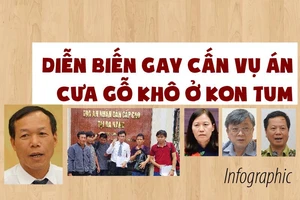 Diễn biến gay cấn vụ án cưa gỗ khô ở Kon Tum