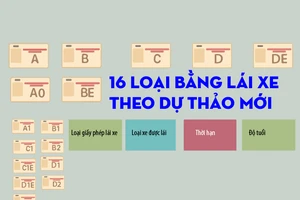 16 loại bằng lái xe theo dự thảo mới