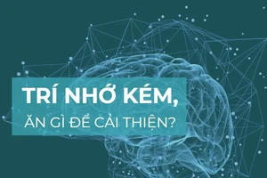Trí nhớ kém, ăn gì để cải thiện?