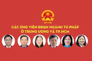 Các ứng viên ĐBQH ngành tư pháp ở Trung ương và TP.HCM
