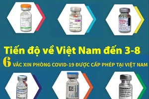 Tiến độ 6 loại vaccine Việt Nam cấp phép đã về được bao nhiêu?