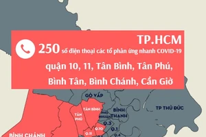 250 số điện thoại Tổ phản ứng nhanh quận 10, 11, Tân Bình, Tân Phú, Bình Tân...