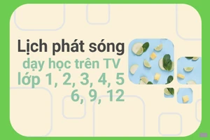 Lịch phát sóng dạy học trên TV cho học sinh lớp 1, 2, 3, 4, 5, 6, 9, 12