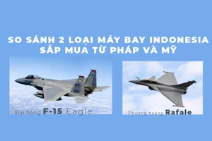 So sánh máy bay chiến đấu F-15 của Mỹ và Rafale của Pháp mà Indonesia sắp mua