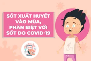 Sốt xuất huyết vào mùa, cách phân biệt với sốt do COVID-19 